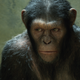 Illustration for article titled 12 Excellent Movies That Use VFX To Tell A Story